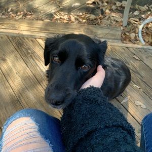 Meet your Posher, Maddie